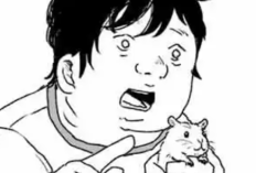 マンガを読む「みいちゃんと山田さん」第23話、本当に馬鹿げている！